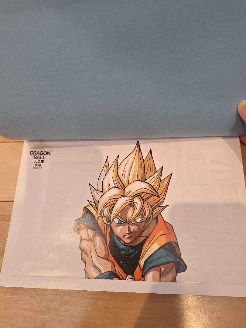 ドラゴンボール大全集 別巻 カードダスパーフェクトファイル 全2冊 初版