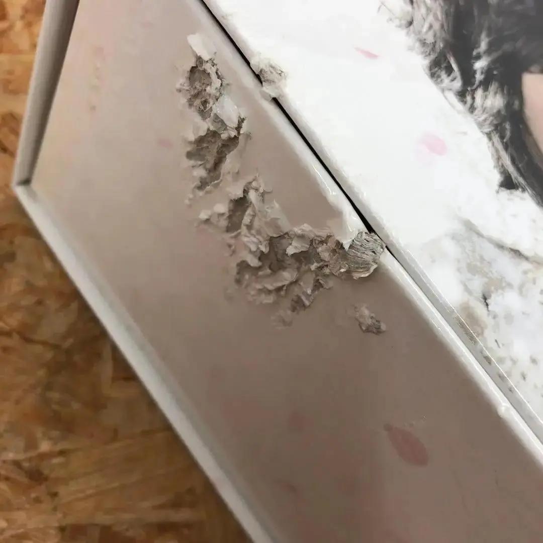 M181 冬のサクラ 豪華版DVD-BOX ※箱にダメージあり