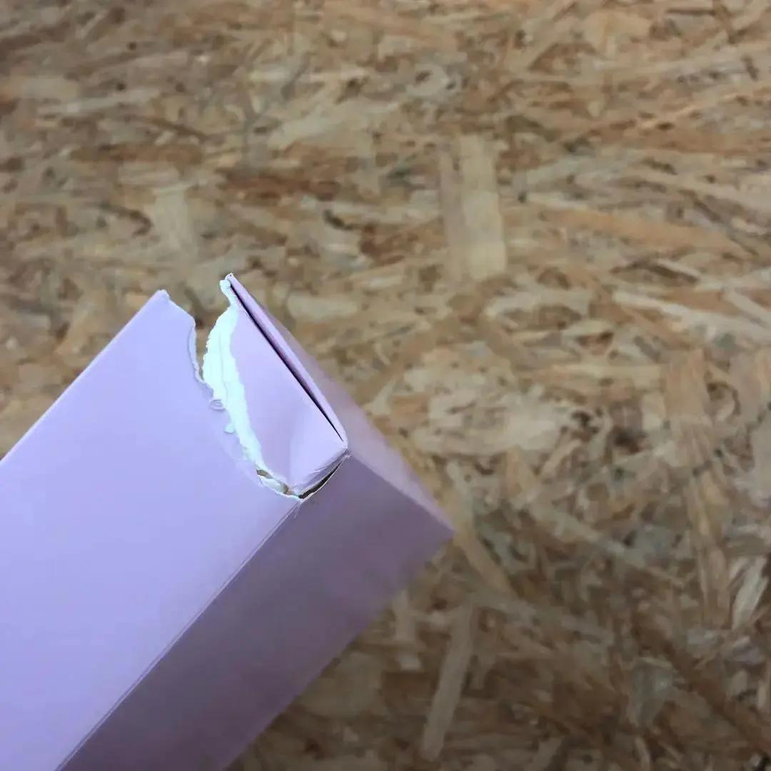 M181 冬のサクラ 豪華版DVD-BOX ※箱にダメージあり