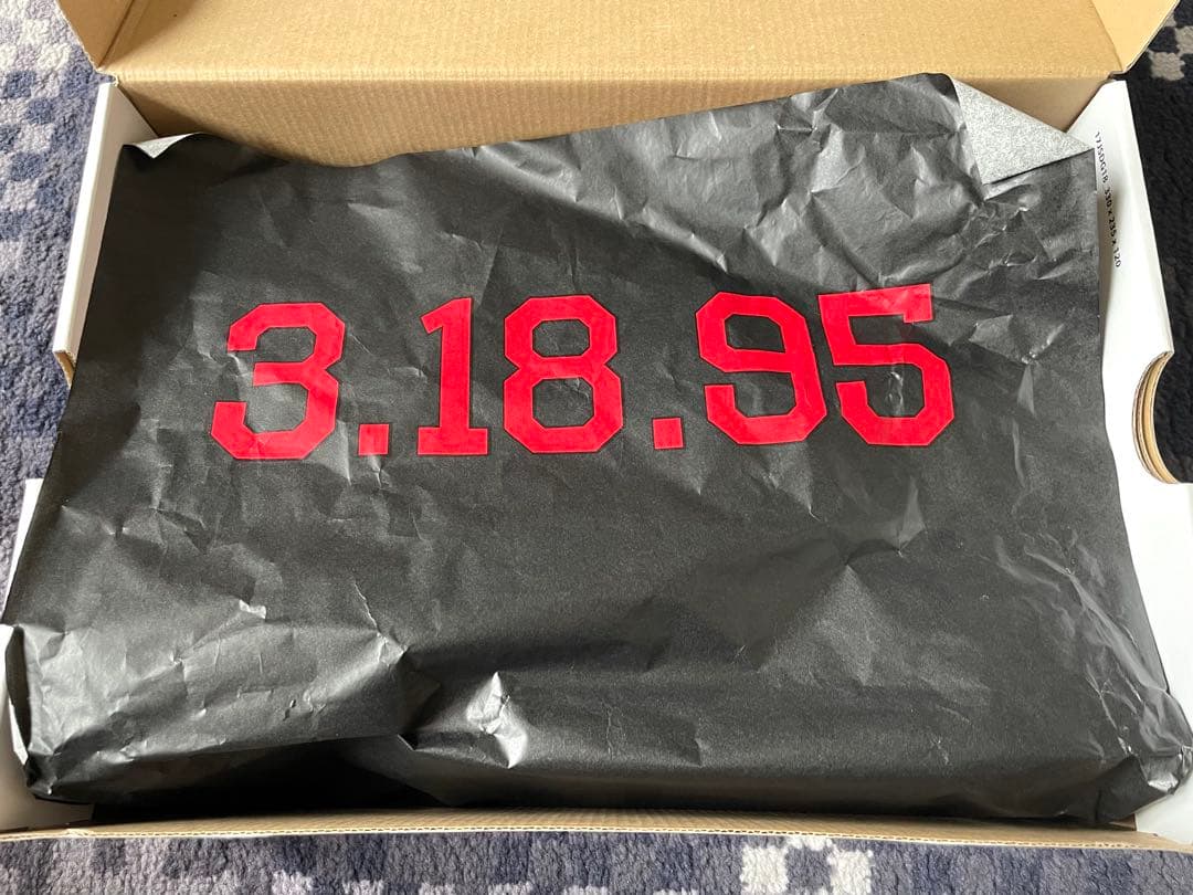 エアジョーダン 10 I’m back 26cm