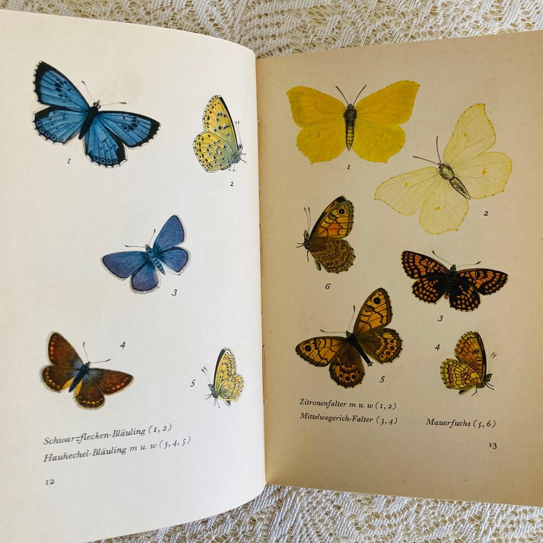 まとめ売り♪　インゼル文庫3点セット　鳥・蝶・木の図鑑　ドイツ古書