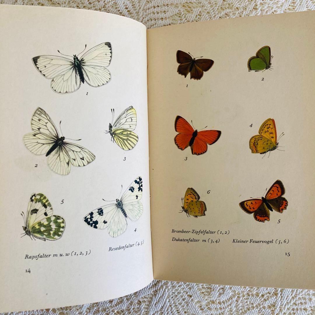 まとめ売り♪　インゼル文庫3点セット　鳥・蝶・木の図鑑　ドイツ古書