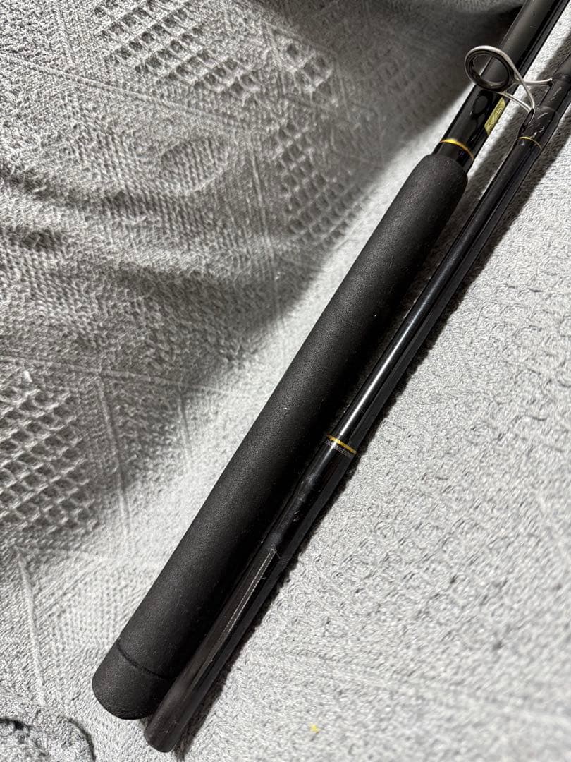 Daiwa JIGCASTER 100MH ショアジギングロッド