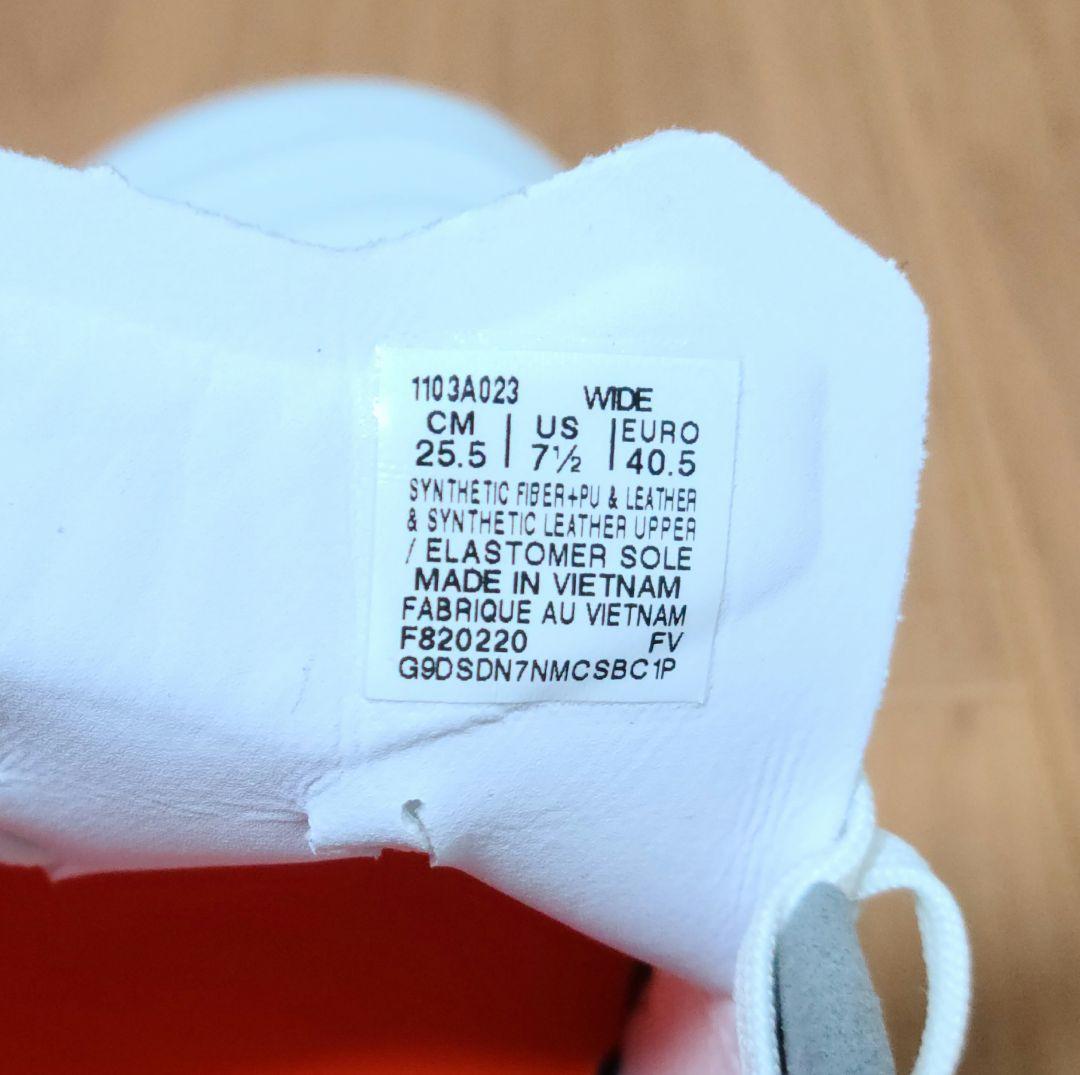 asics DS LIGHT ワイドモデル 1103A023-100 25.5㎝