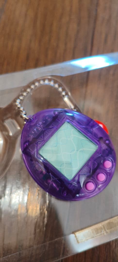 【動作確認済】海で発見たまごっち(おまけ：新品電池付き)