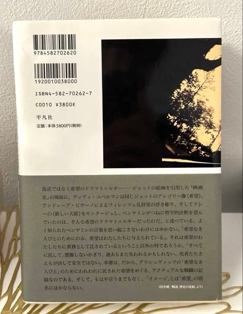 イメージ、それでもなお アウシュヴィッツからもぎ取られた四枚の写真
