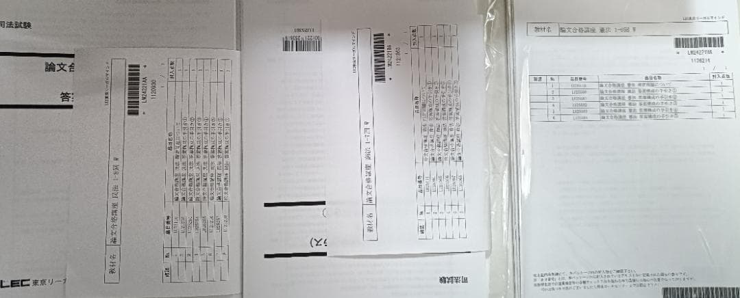 2024　LEC　論文合格講座　テキスト（コアノートは別売り）