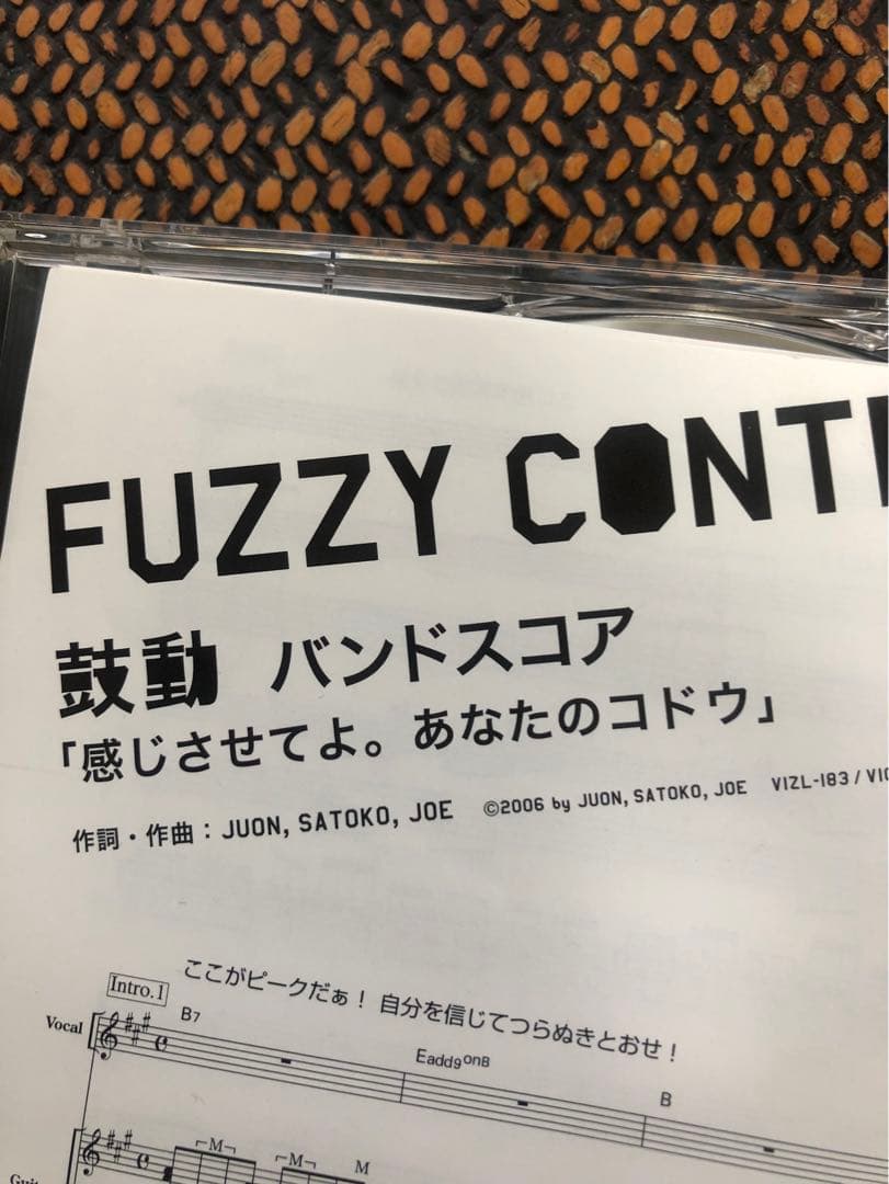 FUZZY CONTROL ファジーコントロール CD 15枚セット
