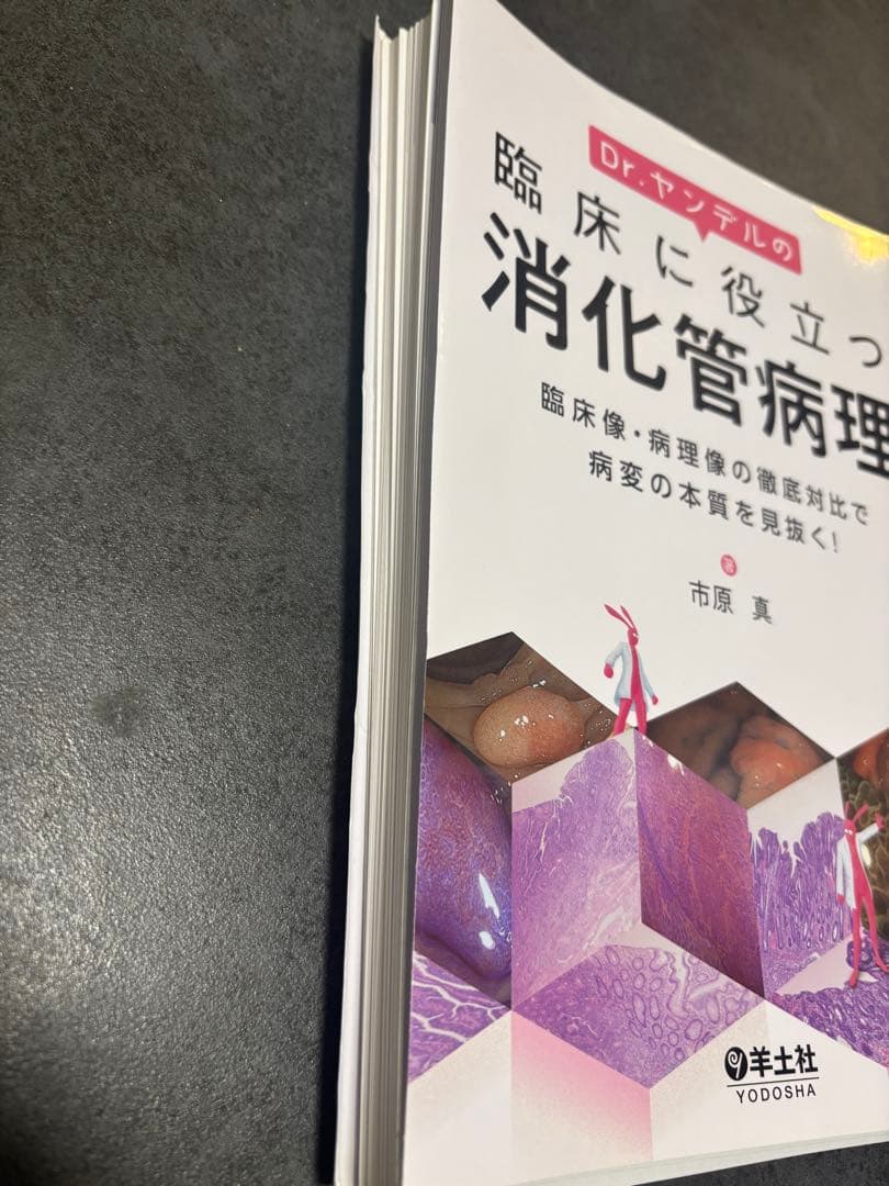 【裁断済】Dr.ヤンデルの臨床に役立つ消化管病理