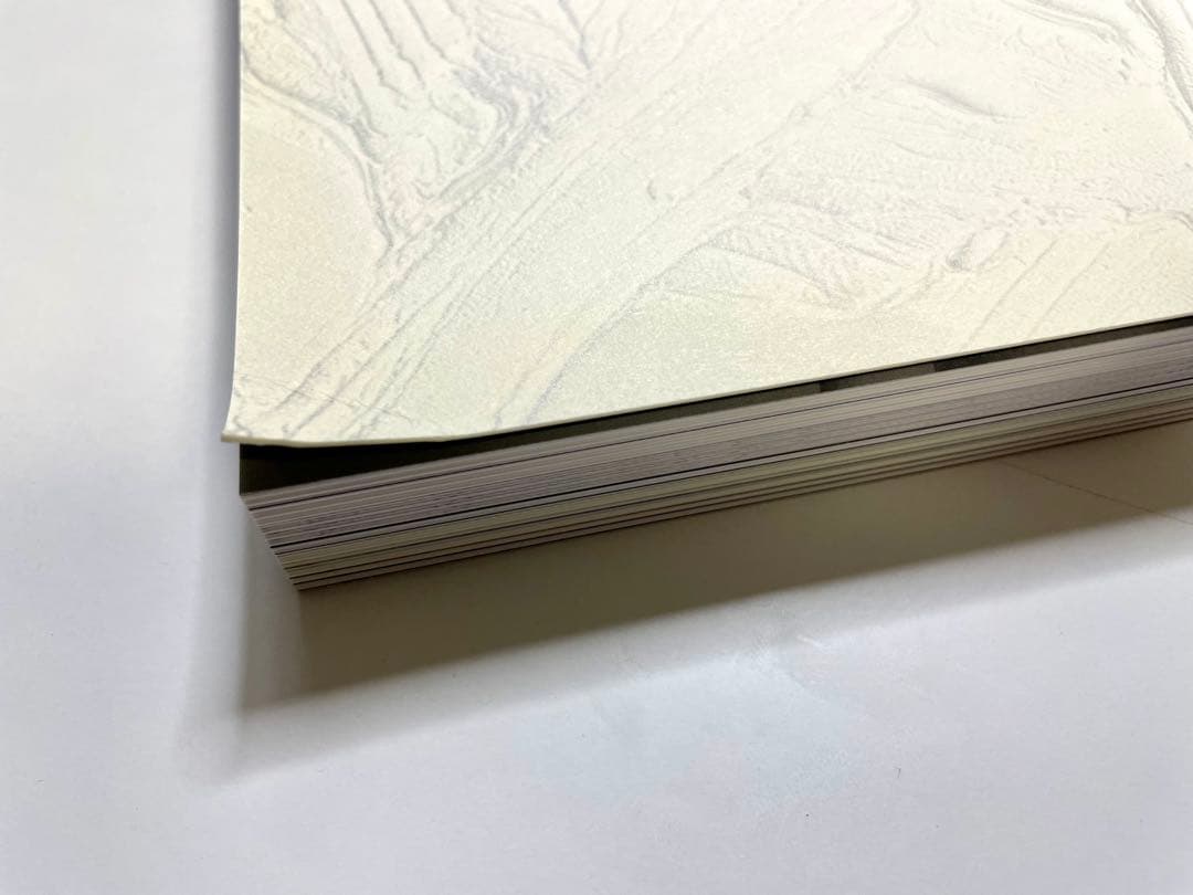 白髪一雄 「格闘から生まれた絵画」展図録 2009年 横須賀美術館