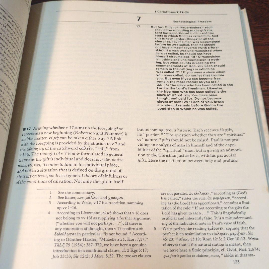 hermeneia 1 Corinthians 聖書注解　Ⅰコリント