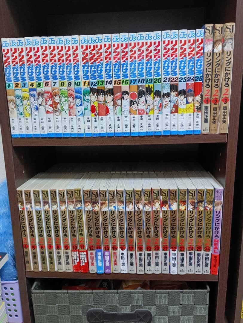 リングにかけろ 全25巻