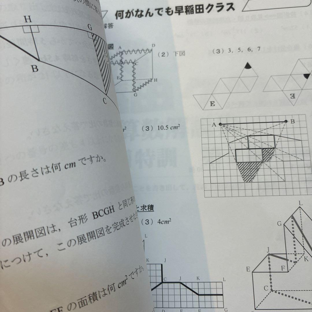 NN早稲田　2024-2025 正月特訓教材4冊セット　早稲田　城壁を突破せよ