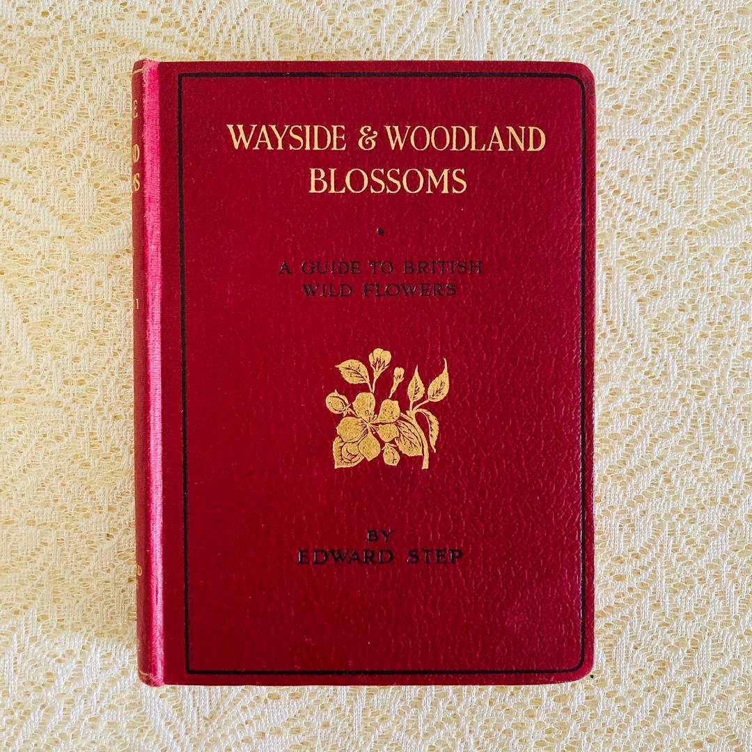 洋書　古書　イギリスのヴィンテージ植物図鑑① 　上品な装丁と美しいカラー図版