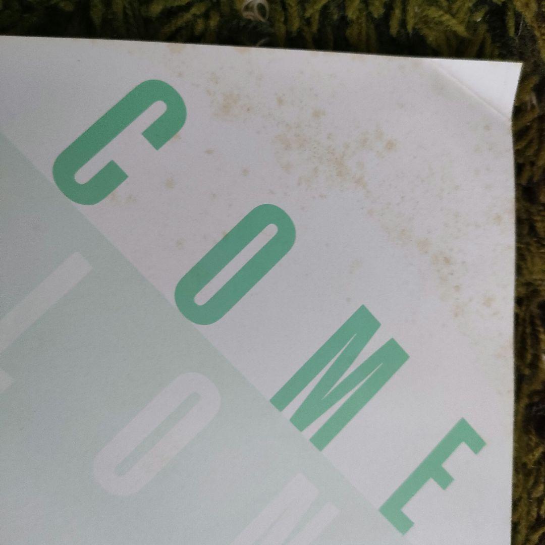 COME ALONG 山下達郎　LP レコー