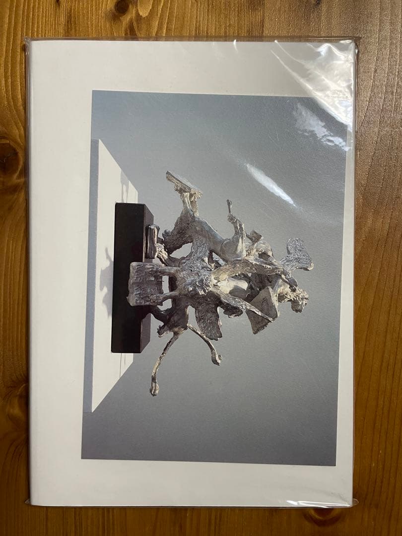 【絶版•希少•未開封】Wolfgang Tillmans Wako Book 5
