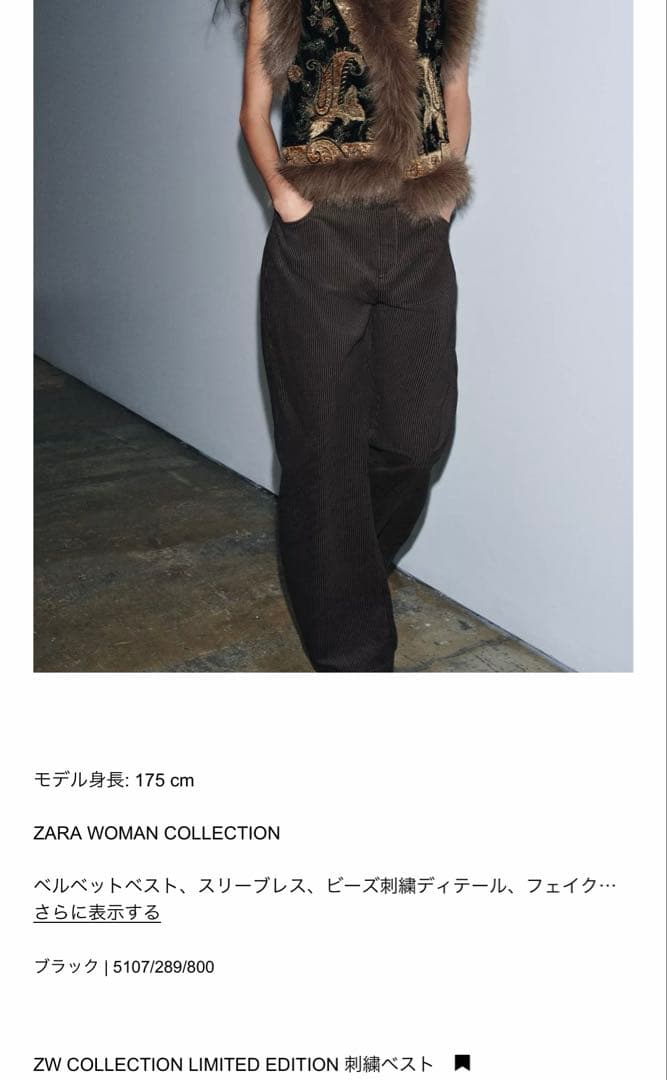 zara zw COLLECTION LIMITED EDITION 刺繍ベスト