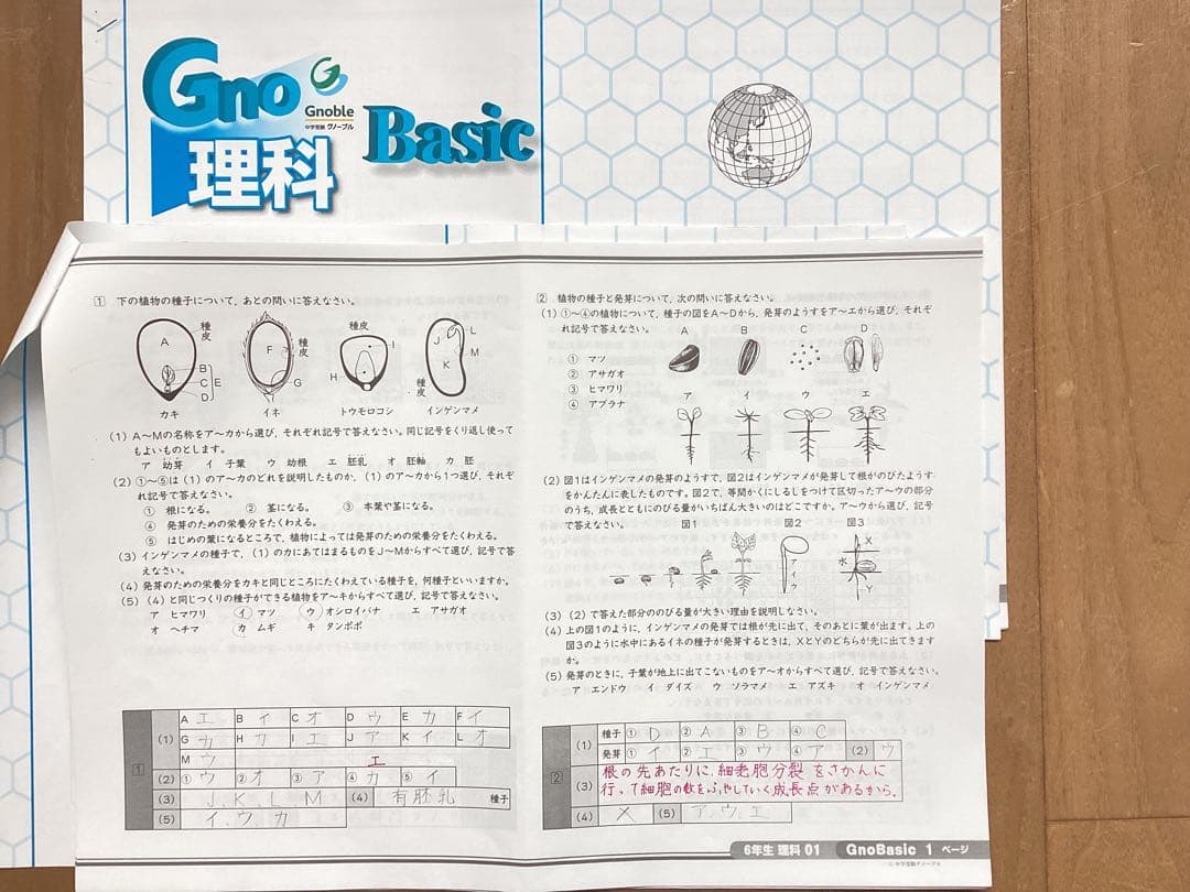 中学受験　グノーブル　6年理科フルセット