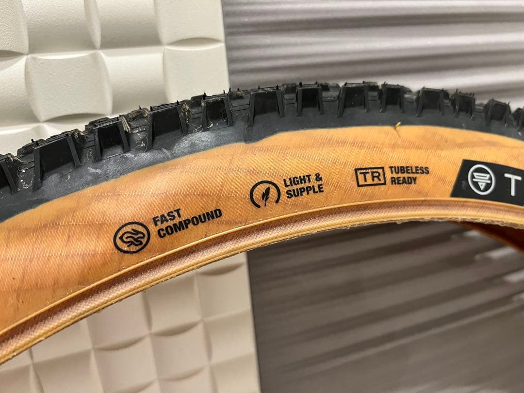 TERAVAIL EHLINE 27.5x2.5 2本セット