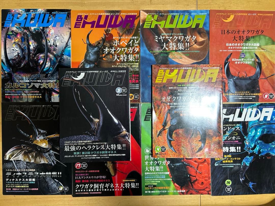 ビークワ　20冊まとめ売り