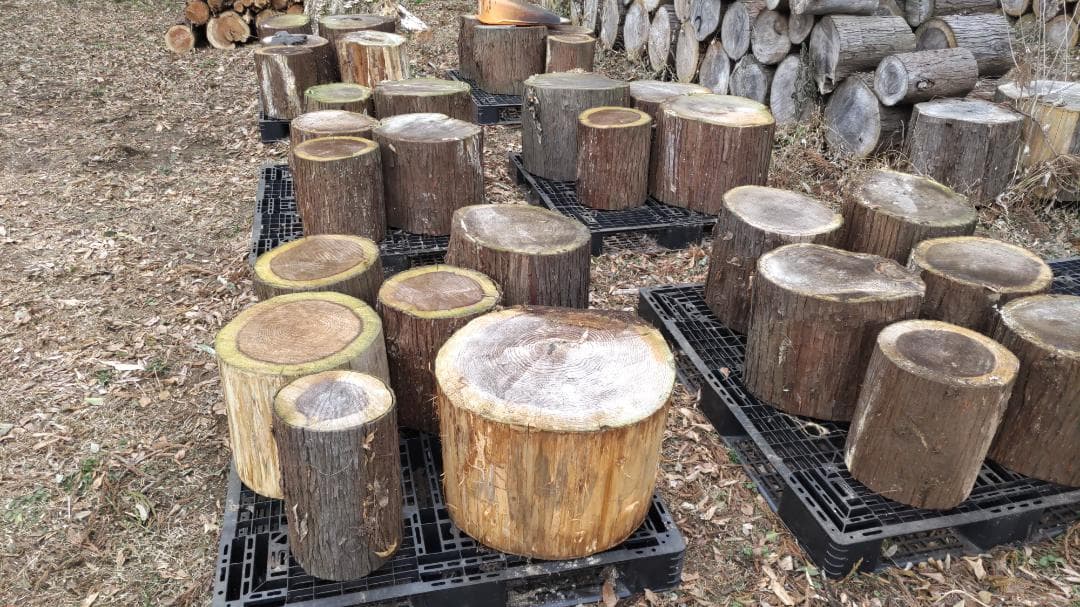 玉切りした原木　針葉樹(杉）１ｔで１万円　千葉市　引取限定　キャンプ　薪ストーブ
