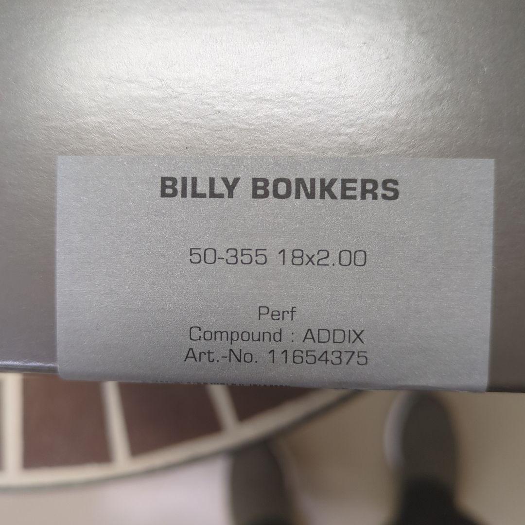 シュワルベ　ビリーボンカーズ　２本　 BILLY BONKERS 18x2.00