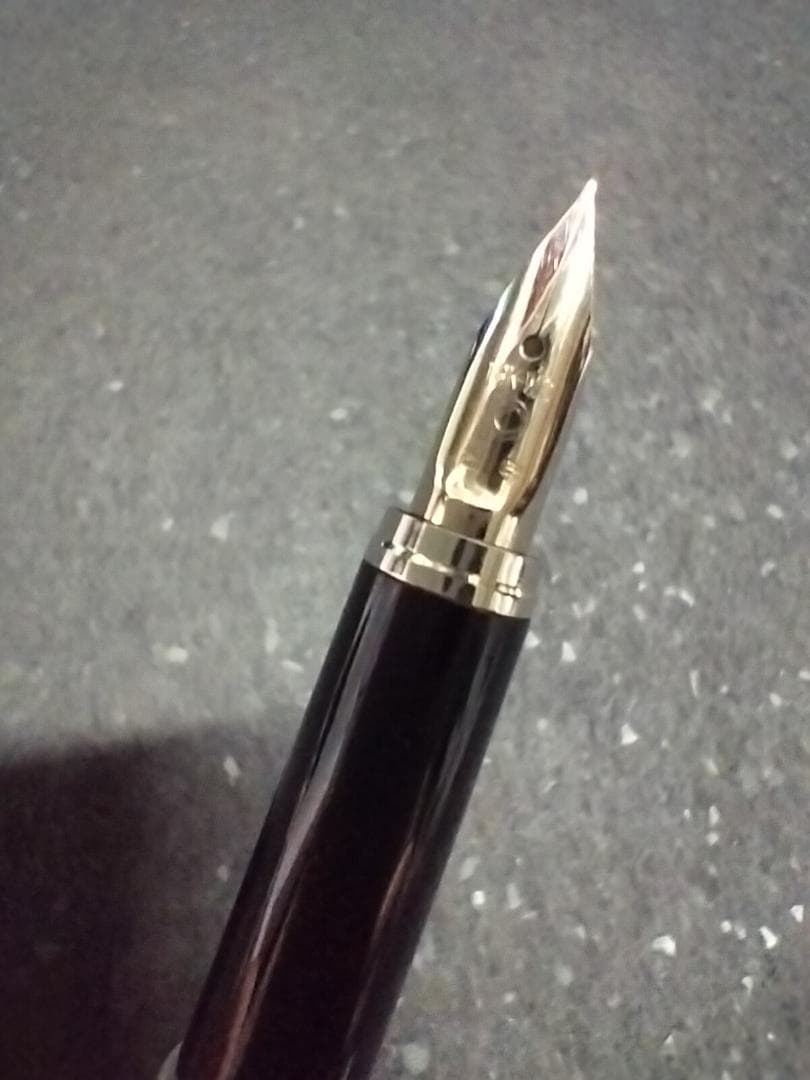 【廃盤】PLATINUM プラチナ万年筆 Riviere 18KWG F 格子柄