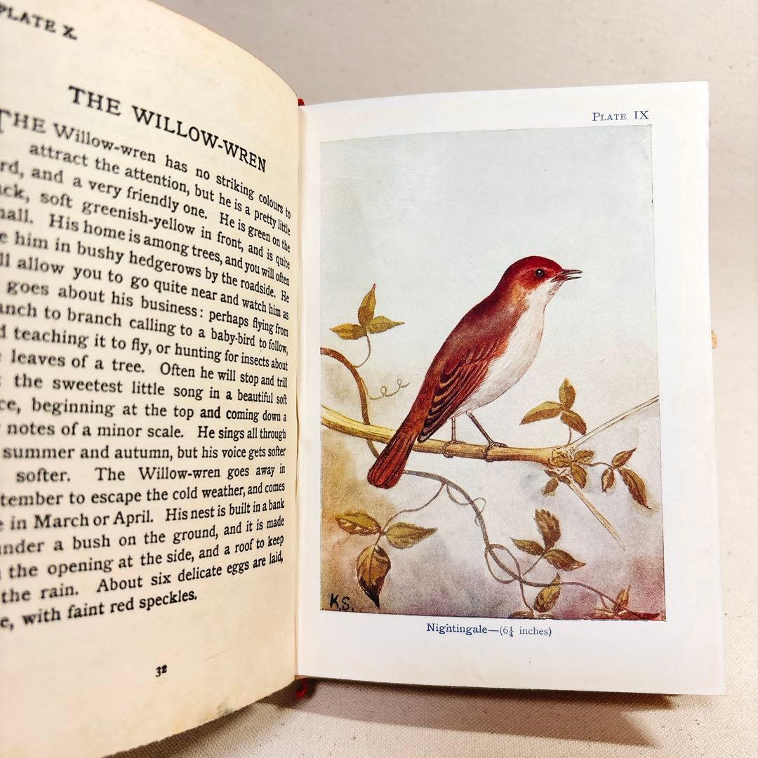 海外 ヴィンテージ洋書 BIRDS 鳥の図鑑 イギリス
