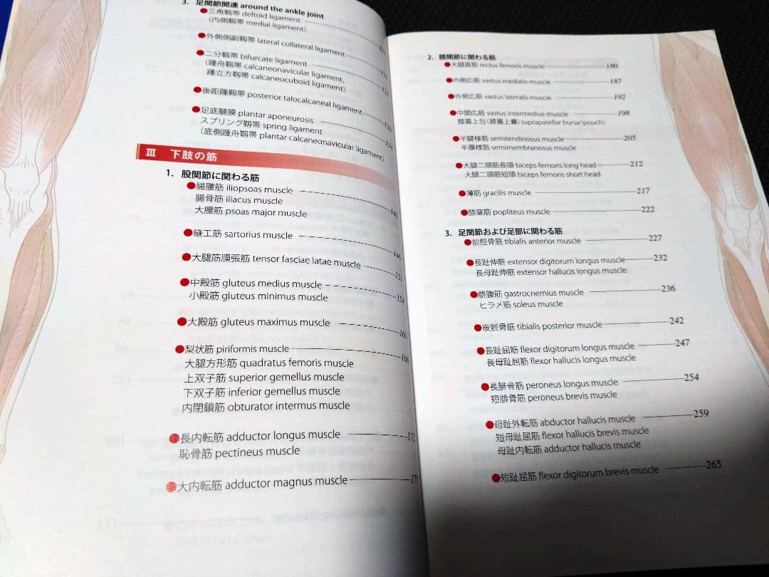 運動療法の為触診技術上肢下肢2冊送料無料　即購入可　即配送　匿名配送　理学療法