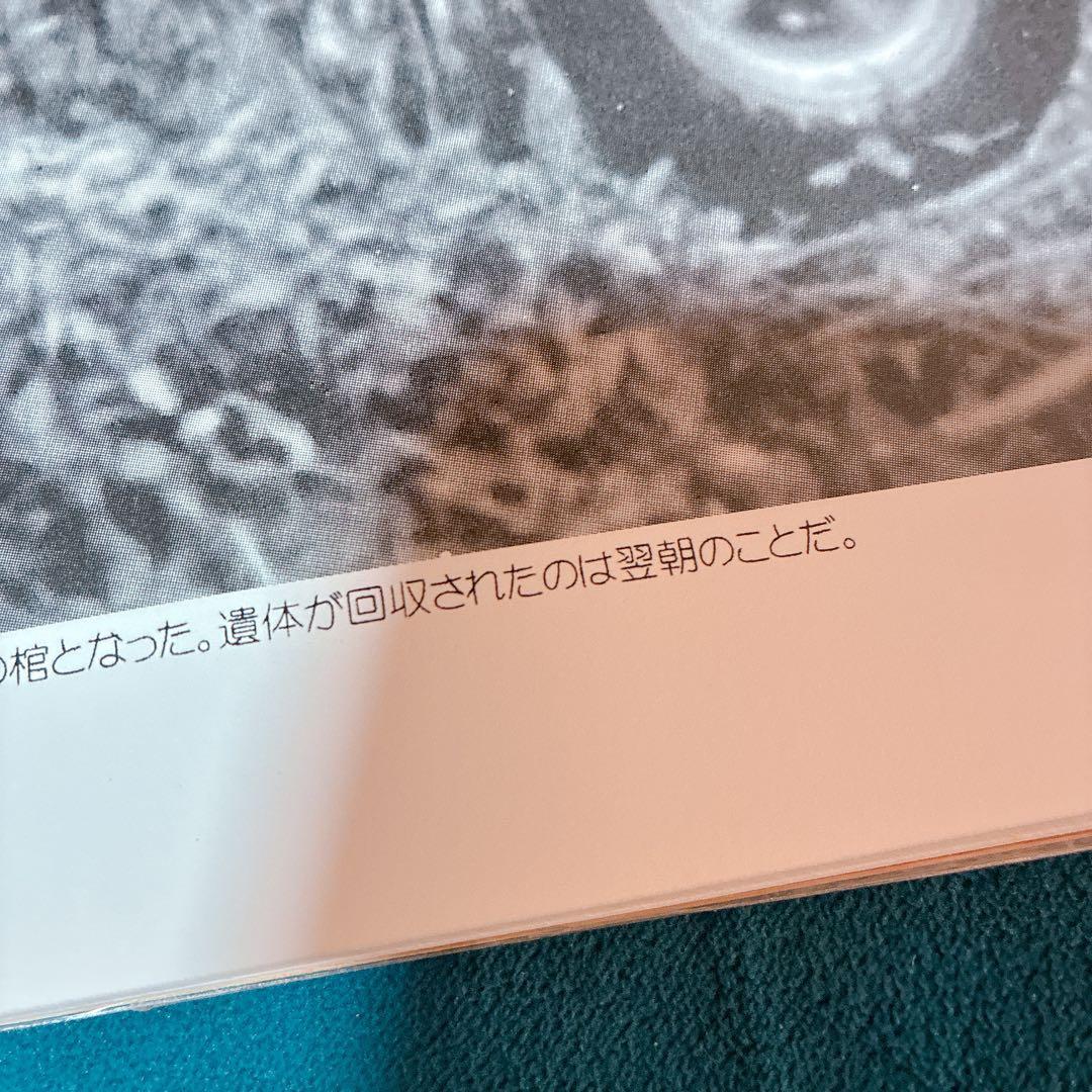 デス・アクシデント　死体写真集