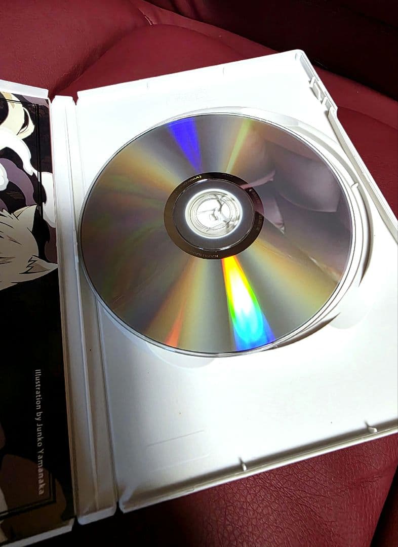 神様はじめました 24巻 オリジナルアニメ DVD付き限定版