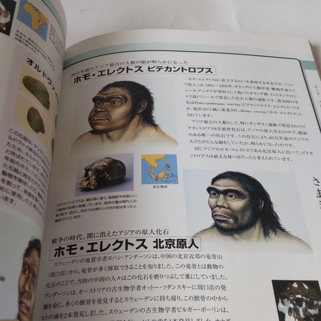 【沖縄・図録・人類学】人類の旅 港川人の来た道