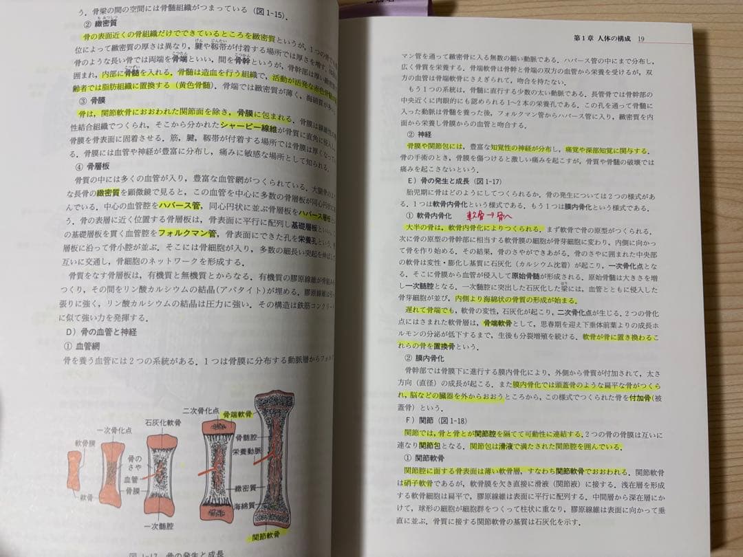 セット売り 解剖生理鍼灸理論テキスト