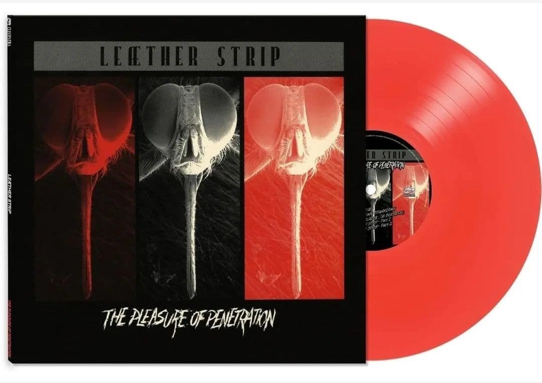 Leæther Strip LP 2枚 未開封新品