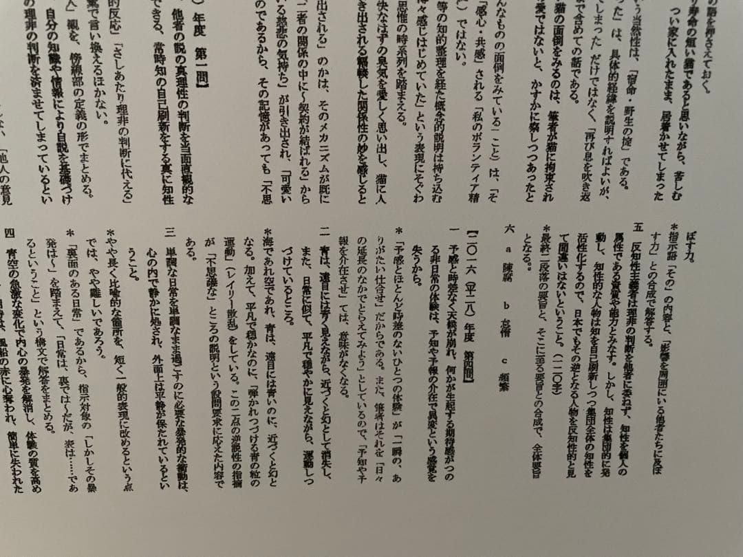 東大現代文 現代文特講 2024 林修 中野芳樹 解答集 東大特進 4セット