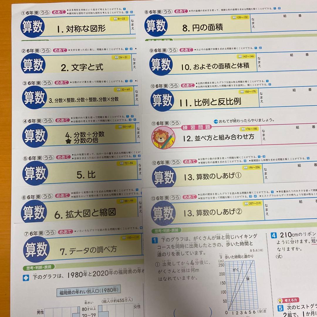 カラーテスト　6年生 算数 未記入 プレテスト付き