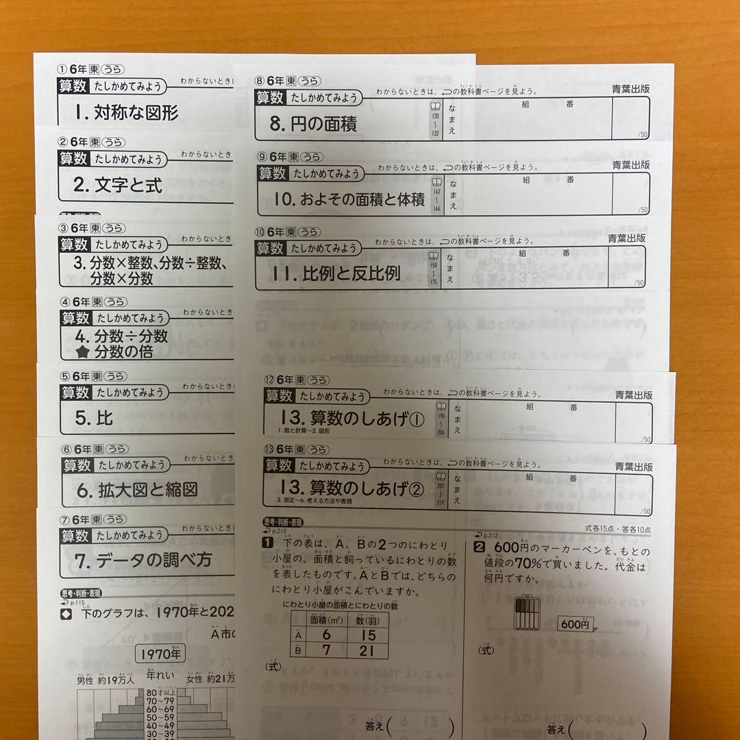 カラーテスト　6年生 算数 未記入 プレテスト付き