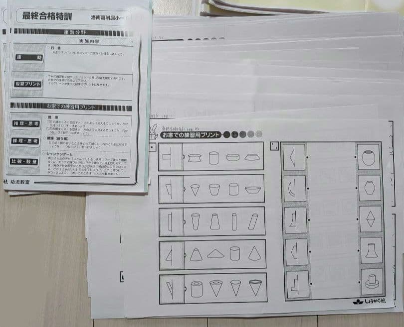 奨学社 洛南高附属小学校【最終合格特訓／最終直前合格特訓】６回分セット