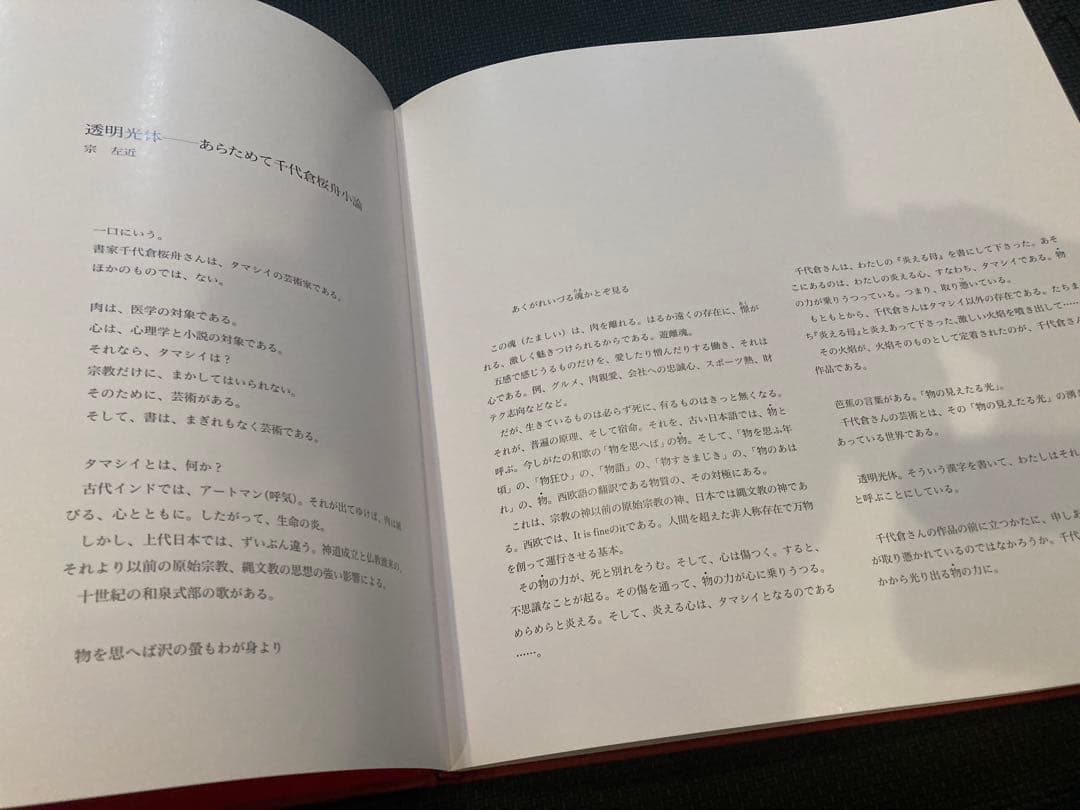 書道作品集 愛と炎と夢 千代倉桜舟 木更津 書道家 作品