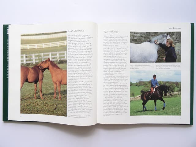 洋書◆馬の写真集 本 キングダム 乗馬