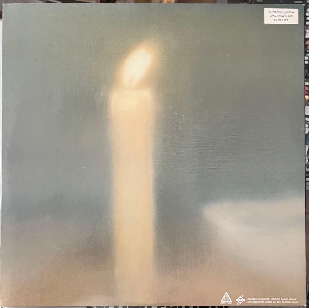 Sonic Youth Daydream Nation レコード
