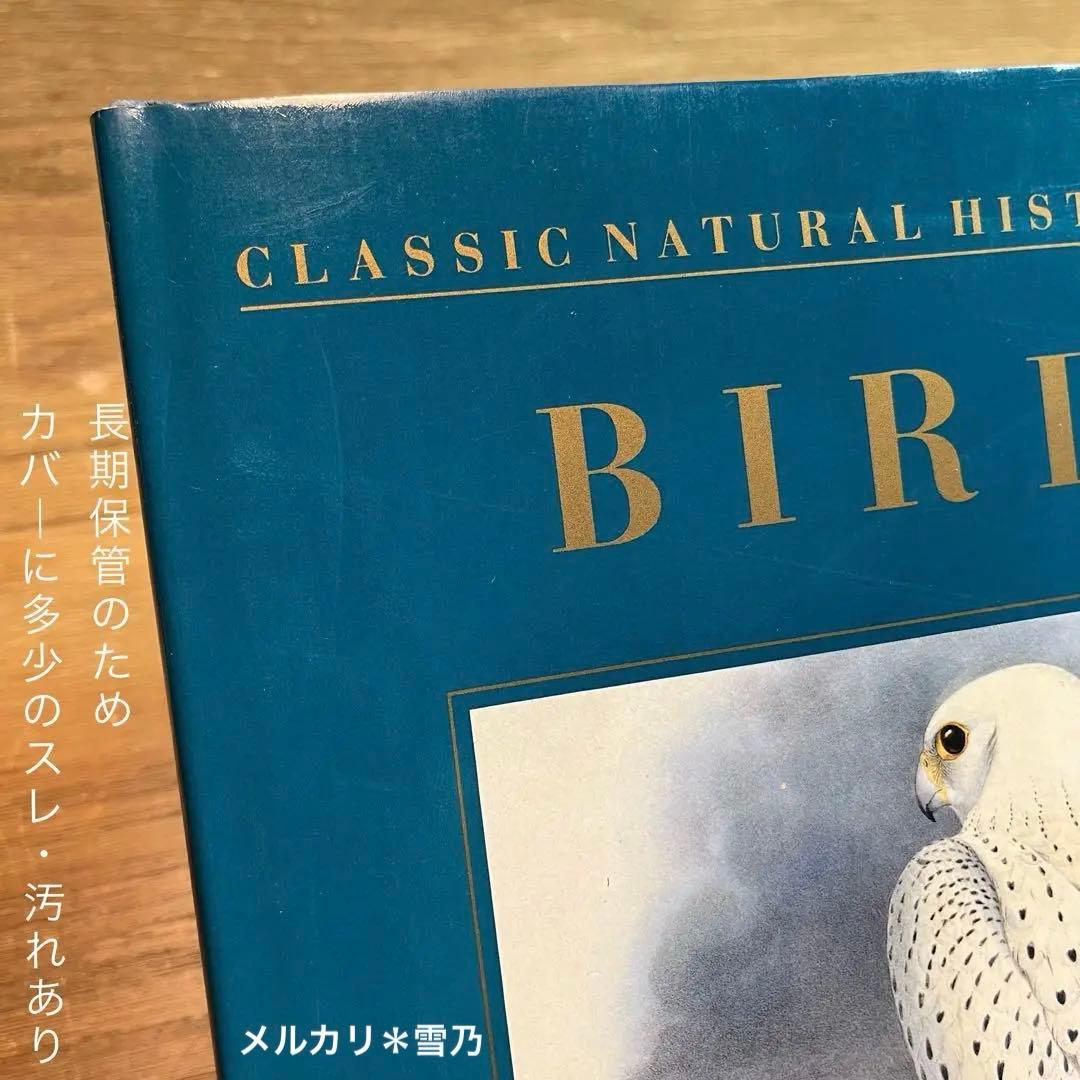アート・デザイン・音楽 CLASSIC NATURAL HISTORY PRINTS BIRDS