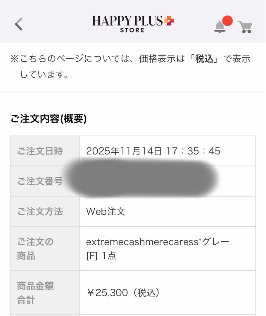 美品extreme cashmere caressグレー ビスチェ