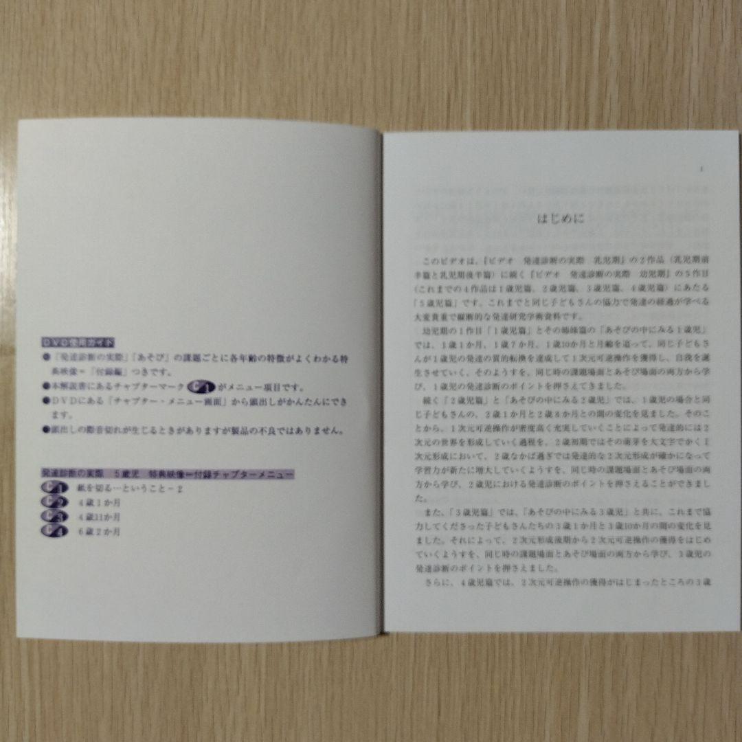 【希少】『DVD版 発達診断の実際』第7巻 5歳児 田中昌人 田中杉恵 大月書店