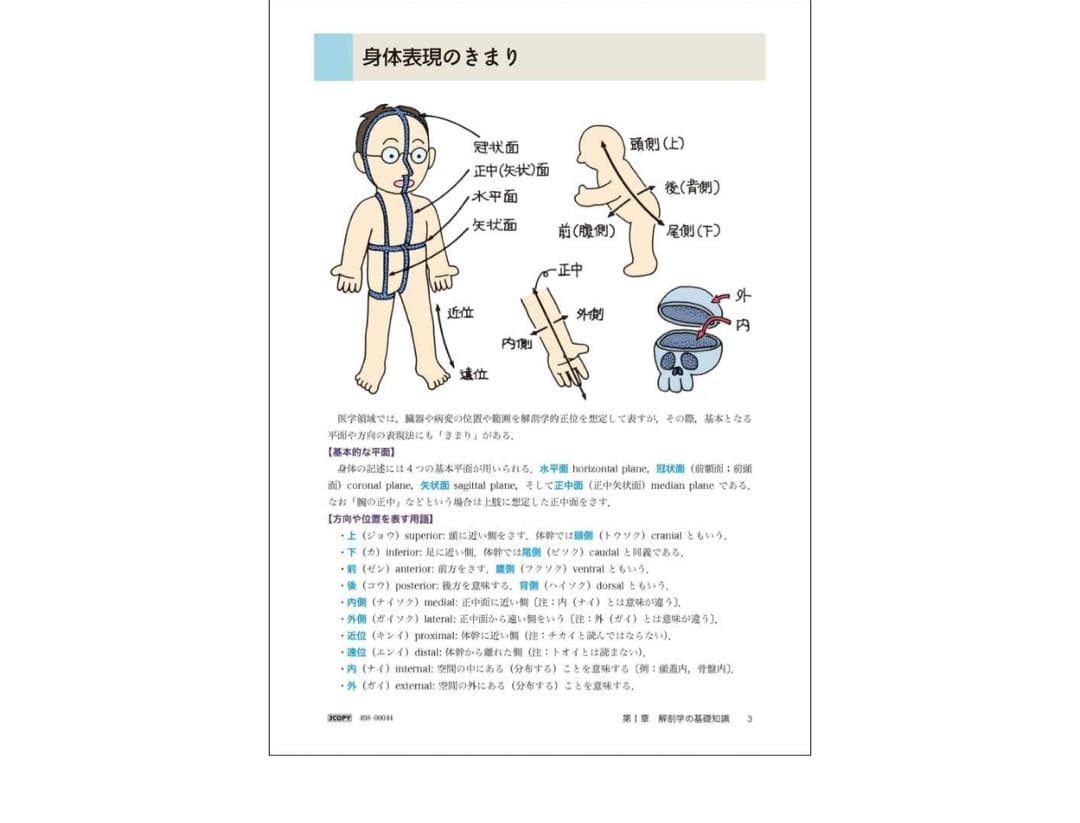 イラスト解剖学 第10版 松村恭児