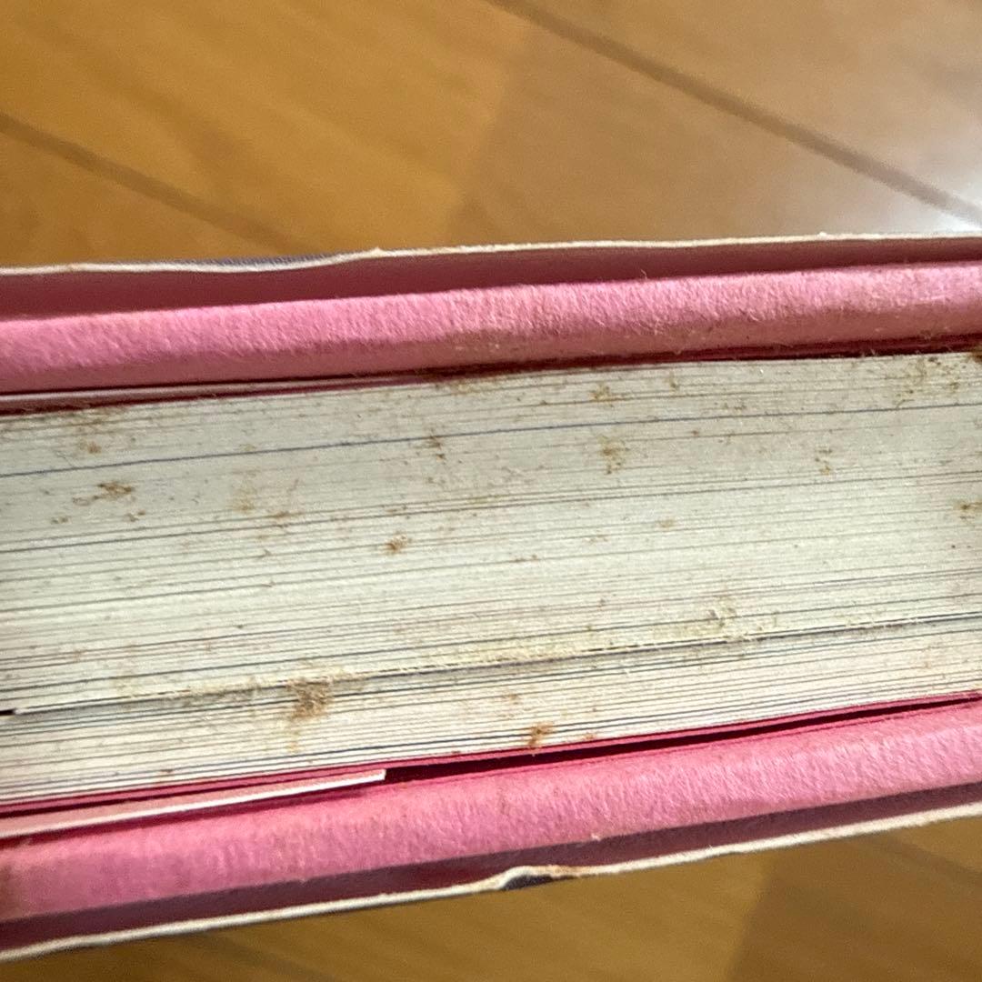 神々の詩 高良留美子