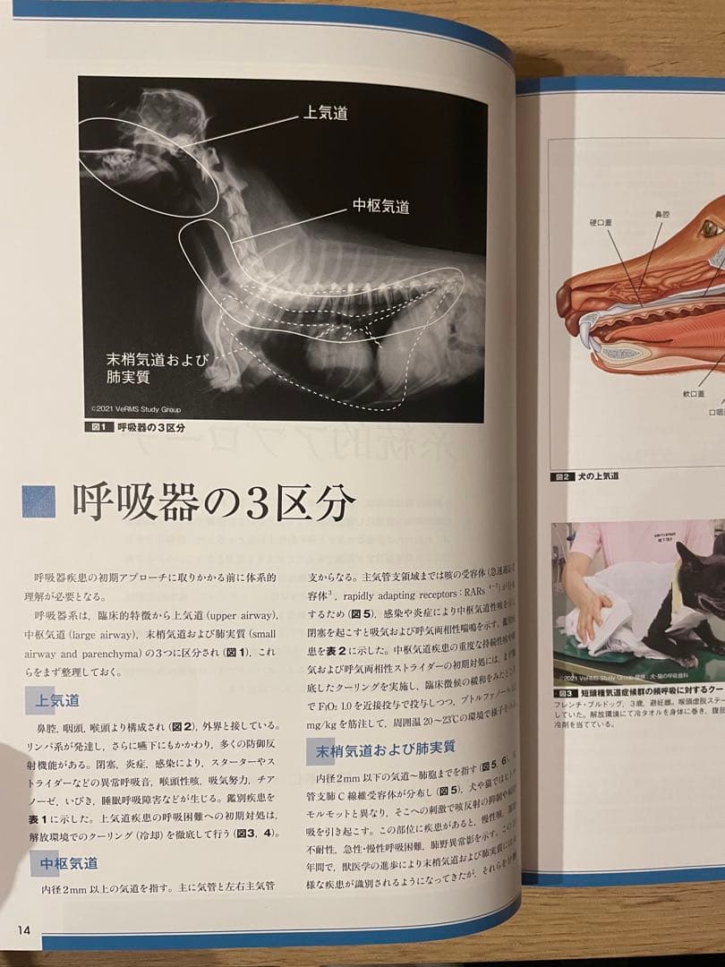 一般臨床医のための犬と猫の呼吸器疾患（裁断なし）