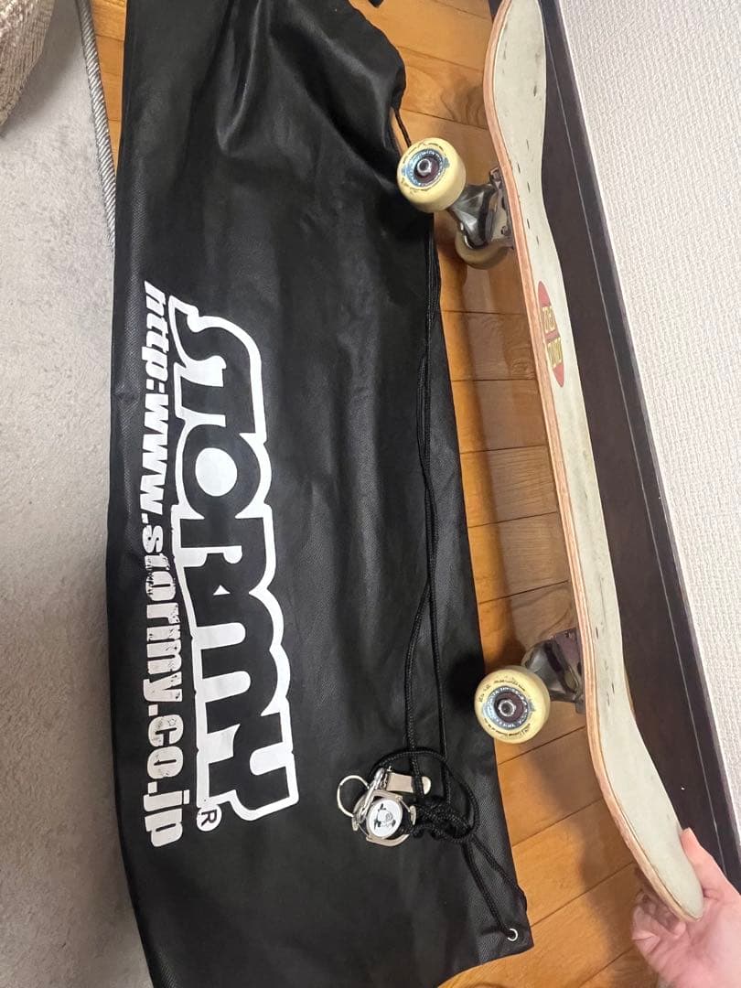 【即乗りOK】SANTA CRUZ スケボー コンプリート 80cm ケース付