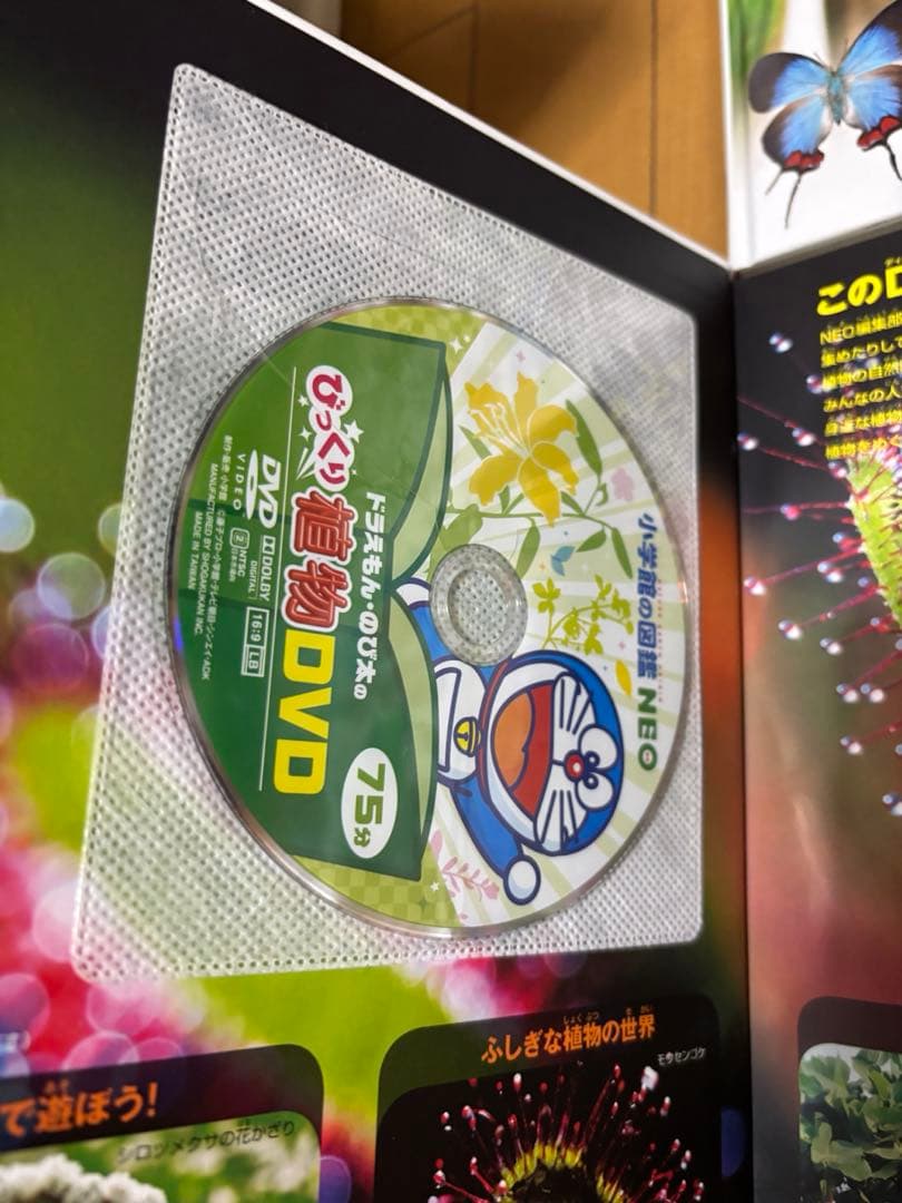 小学館の図鑑NEOネオ シリーズ 10冊セット DVD付き 美品