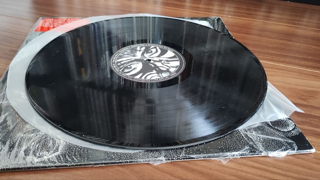 エリカパフォーマンス you used to thinkLPアナログレコード